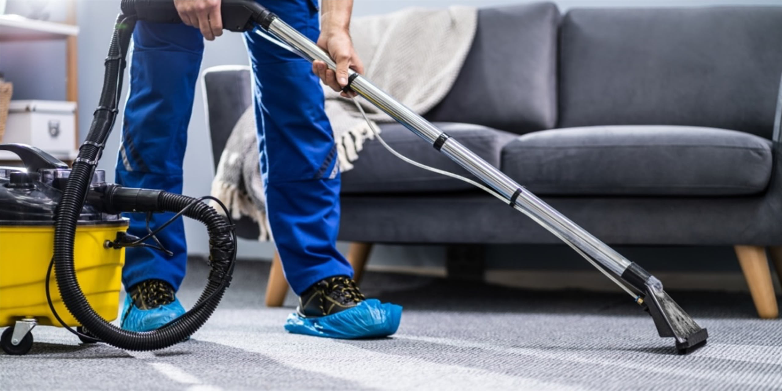 Expert carpet cleaning for UK homes